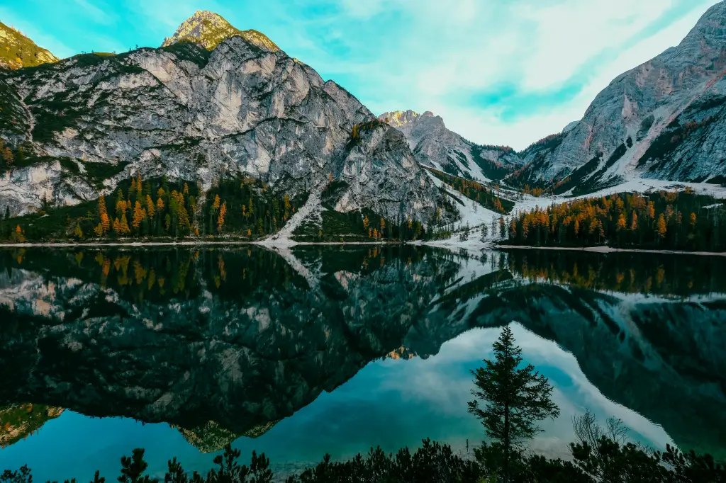 Health and Wellness in the Modern World